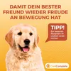 CaniComplete Gelenk Plus für Hunde – Produktbild 9 Produktbild-Vorschau