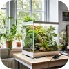 A terrarium with plants and a heating mat with a thermostat on a wooden desk next to a window. Voir les images du produit