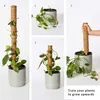 The Blooming Jungle Moss Pole - 2 tyče z kokosového vlákna Náhled obrázku produktu 4