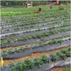 Film diserbante con fori per piante 0,95 x 10 m con Anteprima dell’immagine prodotto 4