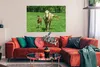 MuchoWow® Poster Pferd - Fohlen - Tiere 120x90 cm - Produktbild-Vorschau 2