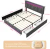 CDGlobal Polsterbett mit USB-Typ-C, LED Doppelbett Produktbild-Vorschau 5