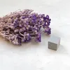 Lonas (Lonas Annua) - Flieder Produktbild-Vorschau 2