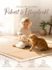 Sisalteppich Beige 200x290 cm | Moderner Teppich für Wohn- Produktbild-Vorschau 5