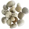FLUSSKIESEL, Kieselsteine 20-60mm. 500g. Creme - WEISS Produktbild-Vorschau 2