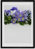 Bild - Bilderrahmen - Foto - 70 cm x 100 cm - MDF - Rahmen Produktbild-Vorschau 1