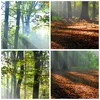 Wanduhr - Rund - Glasuhr - Wald Blätter Sonne - 30x30cm - Produktbild-Vorschau 8