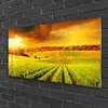 Acrylglasbilder 100x50 Wandbild Druck Feld Acker Produktbild-Vorschau 2