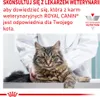ROYAL CANIN Hypoallergenic 4,5kg Podgląd zdjęcia produktu 9