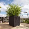 LECHUZA-Pflanzgefäß CUBE Cottage 50 Mokka | Pflanzgefäß mit Produktbild-Vorschau 10
