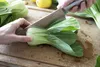 SAFLAX - BIO - Čínska horčicová kapusta - Pak Choi - Náhľad obrázku produktu 5