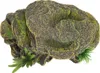 Habitat pour tortues et reptiles, cachettes, aquarium, Voir les images du produit 2