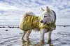 Hurtta Hundemantel Mudventure Reflective Coat Regenmantel Produktbild-Vorschau 11