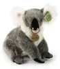 Peluche Koala Ours 25 Cm Ecologique Voir les images du produit 2