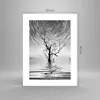 Poster - Poster ohne Rahmen - Schwarzweiß Baum See - 30x40 Produktbild-Vorschau 4