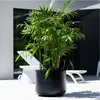 Sleek Planter with Smooth Surface and Elevated Tapered Base Produktbild-Vorschau 3