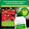 Purgrün Anthurium-Dünger | Flüssigdünger für Blüten & Produktbild-Vorschau 4