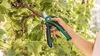 Baumschere BOSCH EasyPrune Produktbild-Vorschau 9