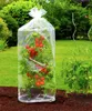 Set di 2 tappi per pomodori Anteprima dell’immagine prodotto 3