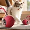 Jouet stimulant pour chiens, Balle de chasse intelligente Voir les images du produit 5