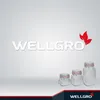 WELLGRO Einmachgläser mit Bügelverschluss eckig 1540ml - Produktbild-Vorschau 6