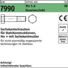 Reyher  Sechskantschrauben DIN7990 Mu 5.6 U M 16x45 tZn (50 Produktbild-Vorschau 1