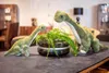 Two plush dinosaur toys are placed on a table next to a potted fern. Náhled obrázku produktu