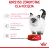 Royal Canin FHN Kitten Instinctive mokra karma dla kociąt w Podgląd zdjęcia produktu 10