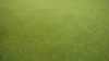 Noch Frühlingswiesen-Grasmatte 00260 Produktbild-Vorschau 7