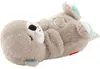 Fisher-Price FXC66, Wydra zabawka, Interaktywny, Brzmienie, Podgląd zdjęcia produktu 22