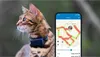 Tractive Mini Gps-localisateur Transparent Transparent One Voir les images du produit 4