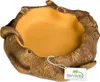 Terrario Ciotola rustica in legno - Ciotola per terrari Anteprima dell’immagine prodotto 7