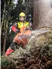 Kübler  FOREST Schnittschutzhose PSA 3 rot/warngelb 2750 Produktbild-Vorschau 3
