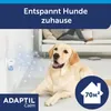 Adaptil Calm Nachfüllflakon Vorteilspack.f.Hunde 3X48 ml Produktbild-Vorschau 3