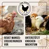 AniForte Muschelgrit für Hühner & Geflügel 5 kg - Produktbild-Vorschau 6