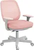 A pink and gray ergonomic office chair with five wheels. Voir les images du produit