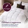 FLANDRIA Piumone Caldo con Piume e Piumino d’Anatra 650 Anteprima dell’immagine prodotto 4