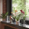 Lechuza Samozavlažovací květináč Orchidea 18 cm, bílá Náhled obrázku produktu 17
