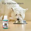 Beaphar Oral & Co. Cura dentale per cani e gatti 250 ml Anteprima dell’immagine prodotto 4