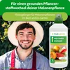 Purgrün -Melonen-Dünger 1 Liter, Produktbild-Vorschau 2