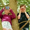 Two children are in a tree, looking through binoculars. Produktbild-Vorschau