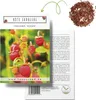 Erdbeeren Samen (Fragaria) - Nährstoffreiche Erdbeer Samen Produktbild-Vorschau 1