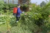 Birchmeier REA 15 AC1, Rucksack-Gartenspritzer, 15 l, Produktbild-Vorschau 2