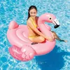 Intex RideOn Flamingo - aufblasbares Produktbild-Vorschau 14