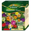 Quedlinburger Saatgut - Blühender Zaun - Samen - 2972036 Produktbild-Vorschau 2