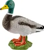 Schleich Farm World        13824 Erpel Produktbild-Vorschau 1