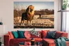 MuchoWow® Poster Löwe - Hügel - Sonne 180x120 cm - Produktbild-Vorschau 2