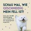 nimo® Anti Filz Spray | für Hunde, Katzen & Haustiere | Produktbild-Vorschau 2