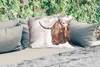 MuchoWow® Outdoor Kissen - Scottish Hochlandrind - Tiere - Produktbild-Vorschau 2