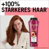 GLISS Shampoo Color Perfector 250ml & Spülung 200ml Produktbild-Vorschau 4